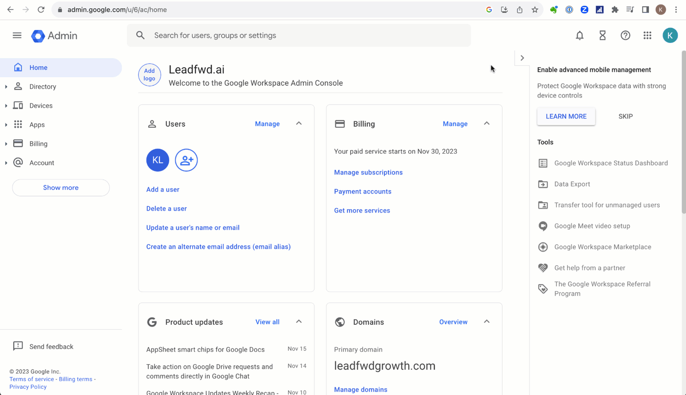 leadfwd-manage-domain-google.gif